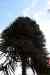 20121015_1210460m.jpg - 2012:10:15 12:10:46