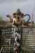 20121015_1702530m.jpg - 2012:10:15 17:02:53