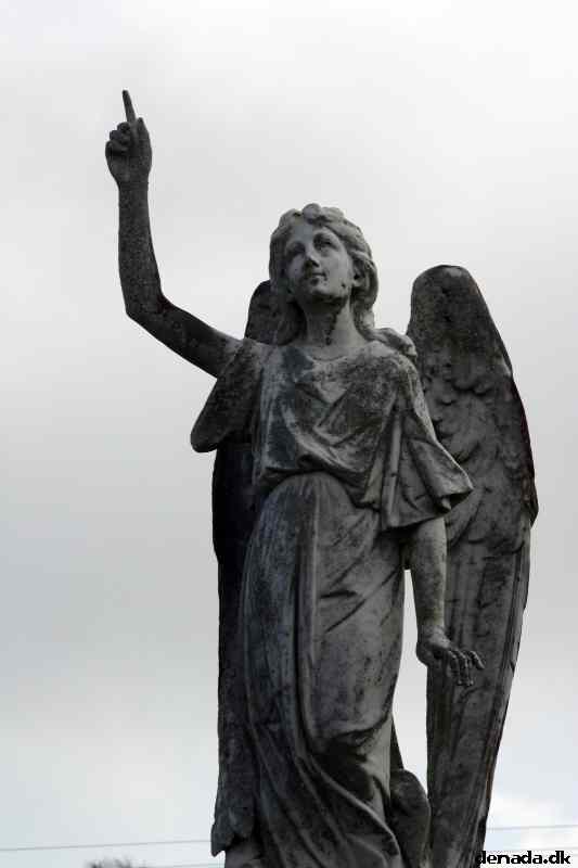* Image 14