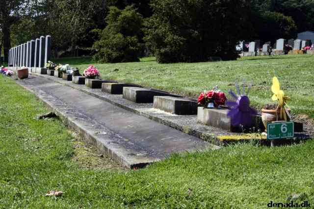 * Image 7