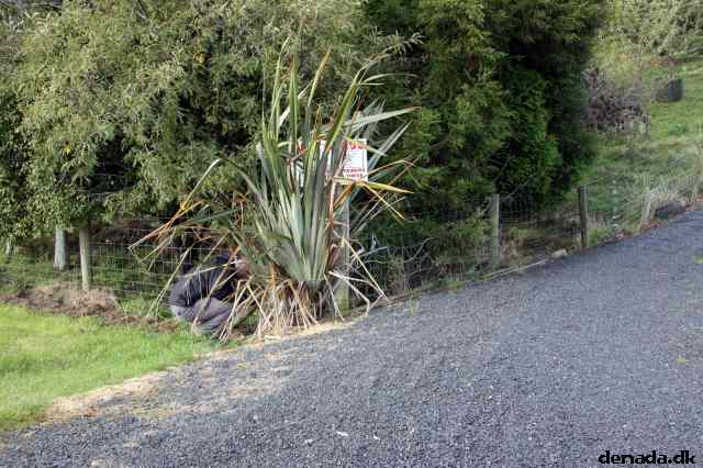 * Image 10