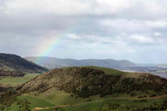 * Image 33