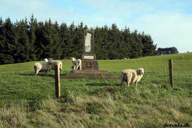 * Image 34