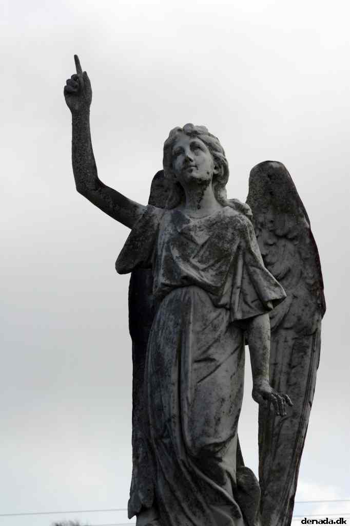 * Image 14