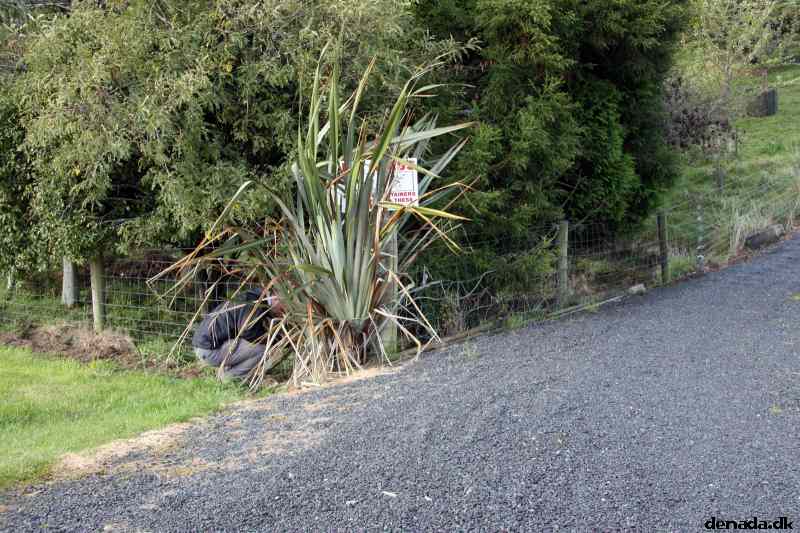 * Image 10