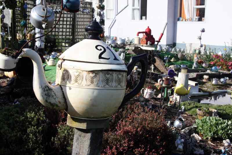 * Image 23