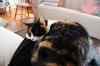 20121016_0923150m.jpg - 2012:10:16 09:23:15