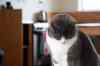 20121016_0932590m.jpg - 2012:10:16 09:32:59