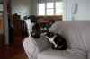 20121016_0933190m.jpg - 2012:10:16 09:33:19