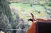 20121016_1809470m.jpg - 2012:10:16 18:09:47