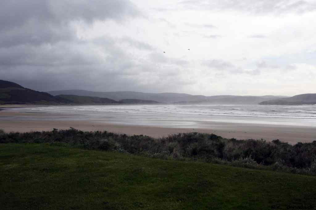* Image 1