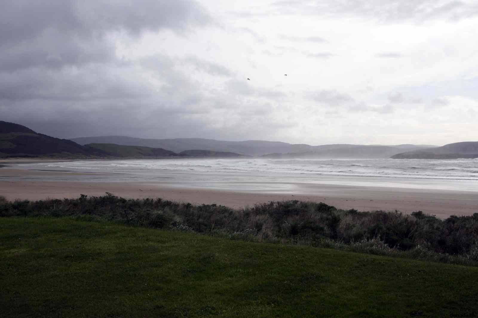 * Image 1