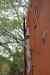 20121016_1805520m.jpg - 2012:10:16 18:05:52