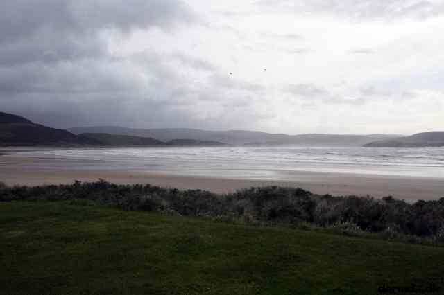 * Image 1