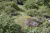 20121017_1604170m.jpg - 2012:10:17 16:04:17