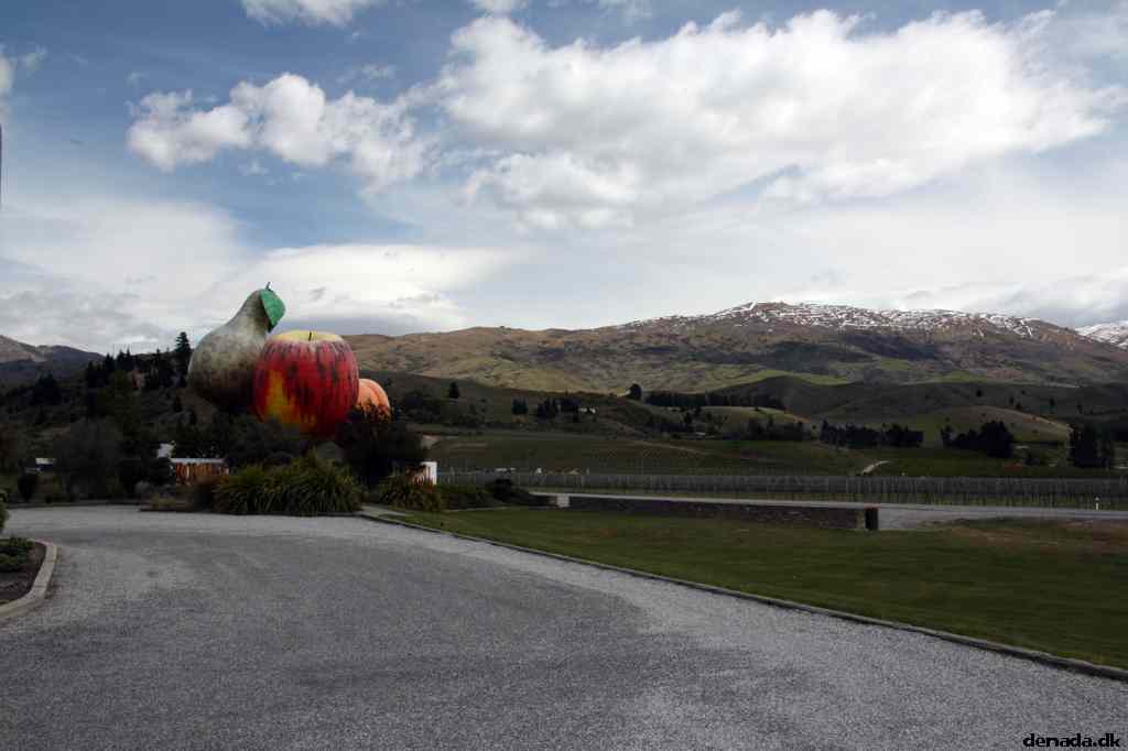 * Image 5