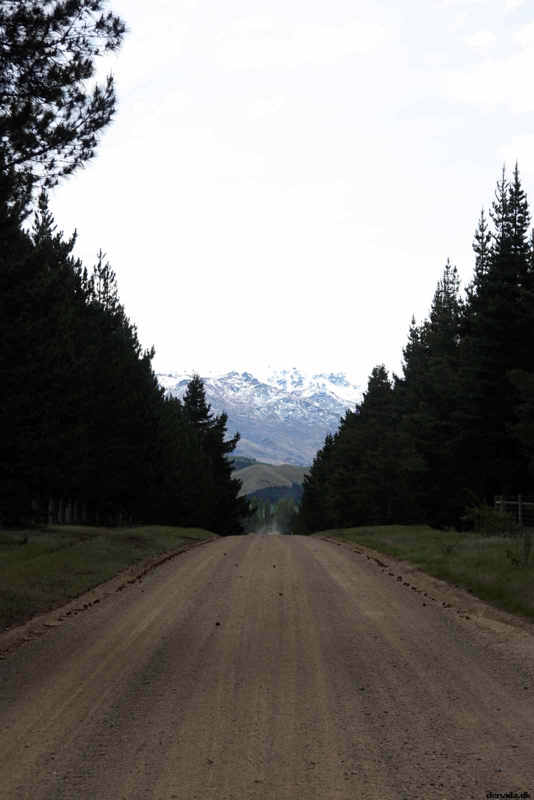 * Image 10