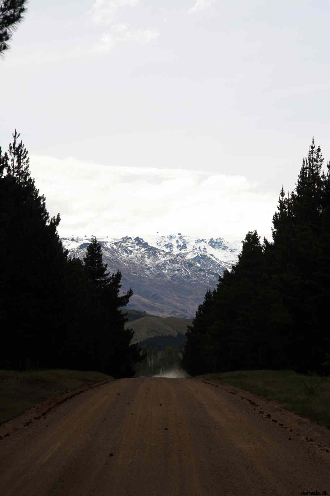 * Image 11