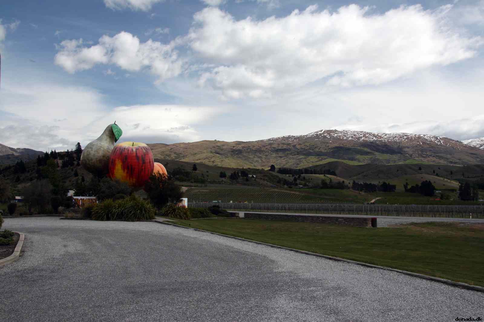 * Image 5
