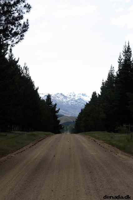 * Image 10
