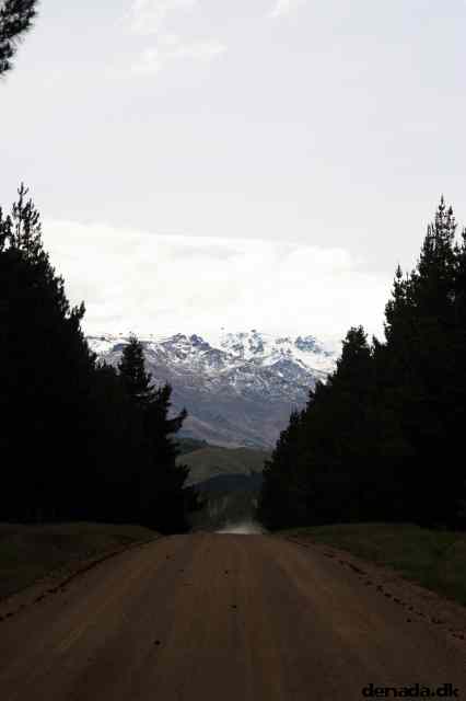 * Image 11