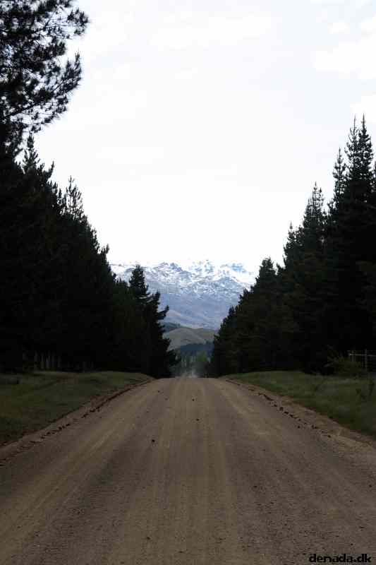 * Image 10