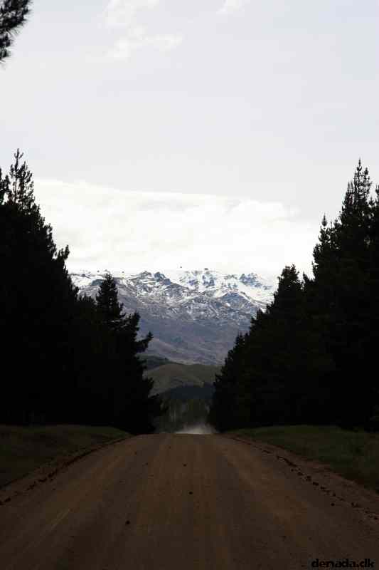 * Image 11