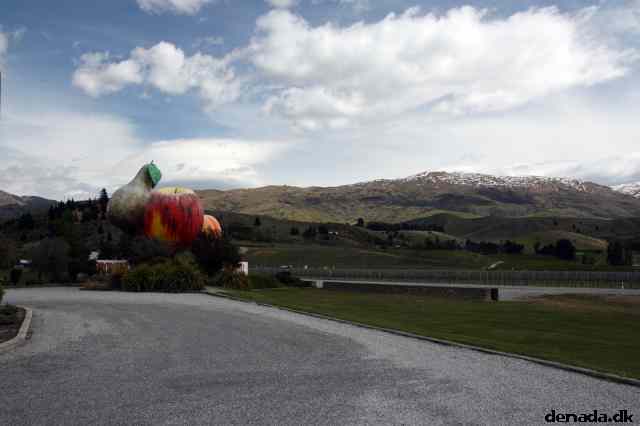 * Image 5