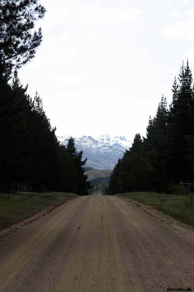 * Image 10