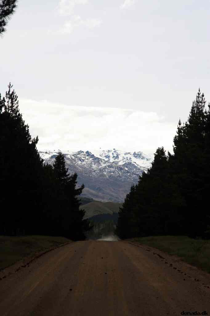 * Image 11