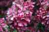 20121018_1638371m.jpg - 2012:10:18 16:38:37