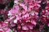 20121018_1638560m.jpg - 2012:10:18 16:38:56