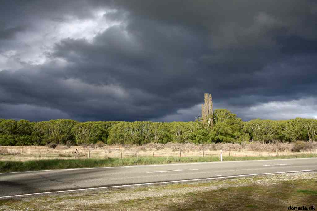 * Image 13
