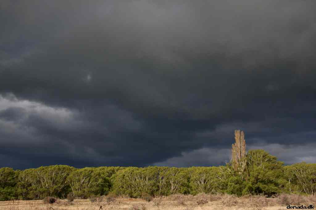 * Image 17