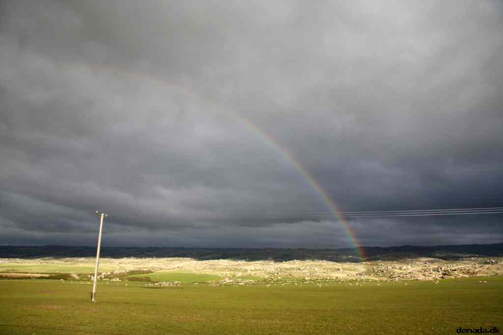 * Image 29