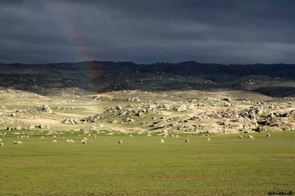 * Image 32