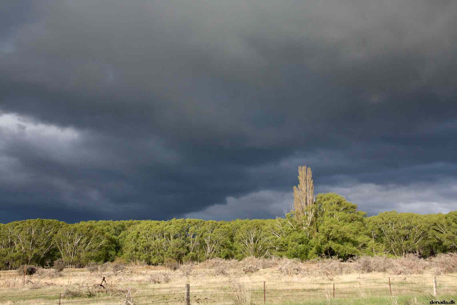 * Image 16