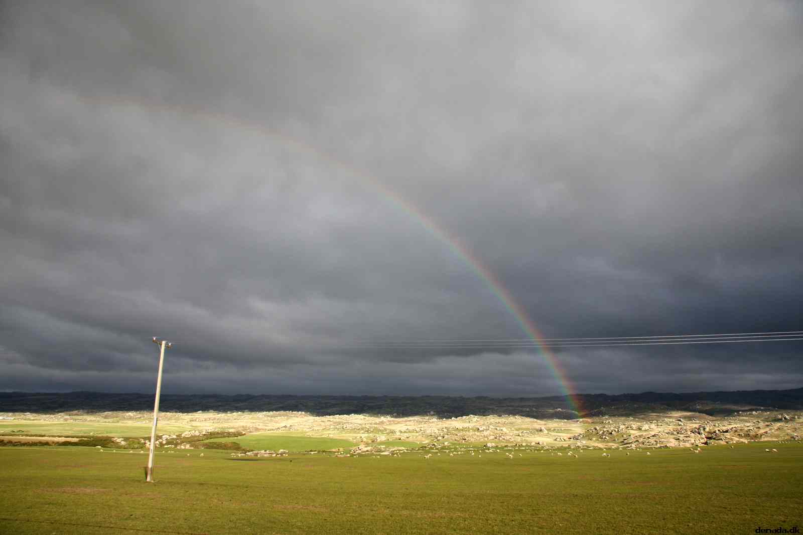 * Image 29