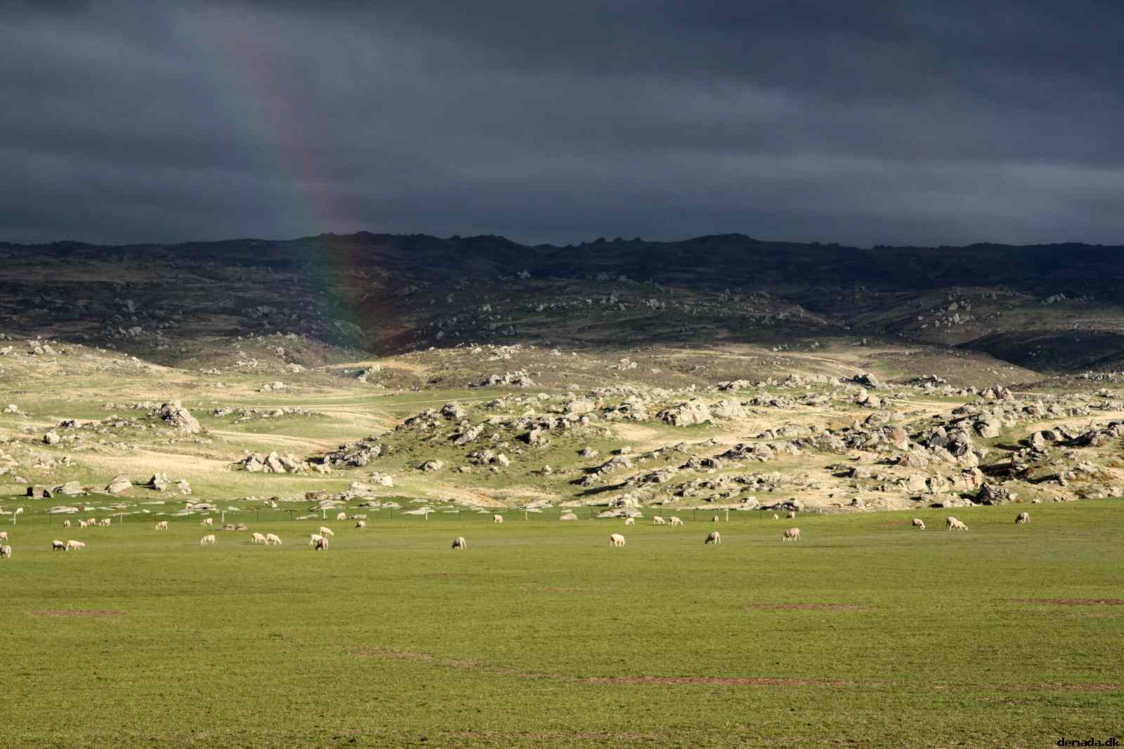 * Image 32