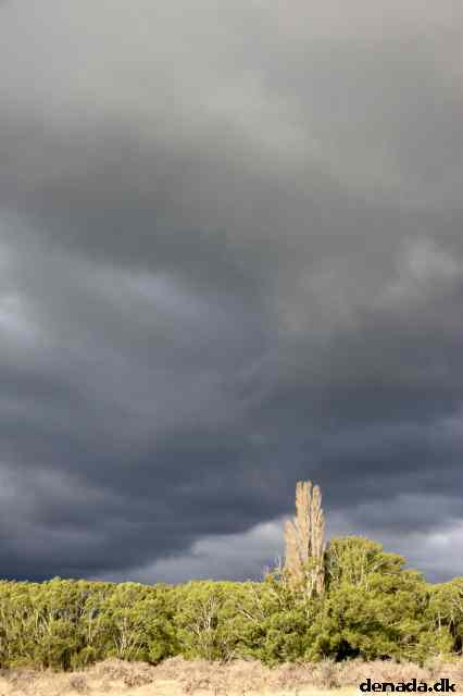 * Image 14