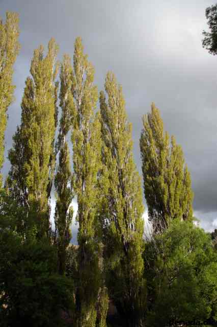 * Image 25