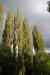 20121018_1820160m.jpg - 2012:10:18 18:20:16