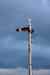 20121018_1833540m.jpg - 2012:10:18 18:33:54