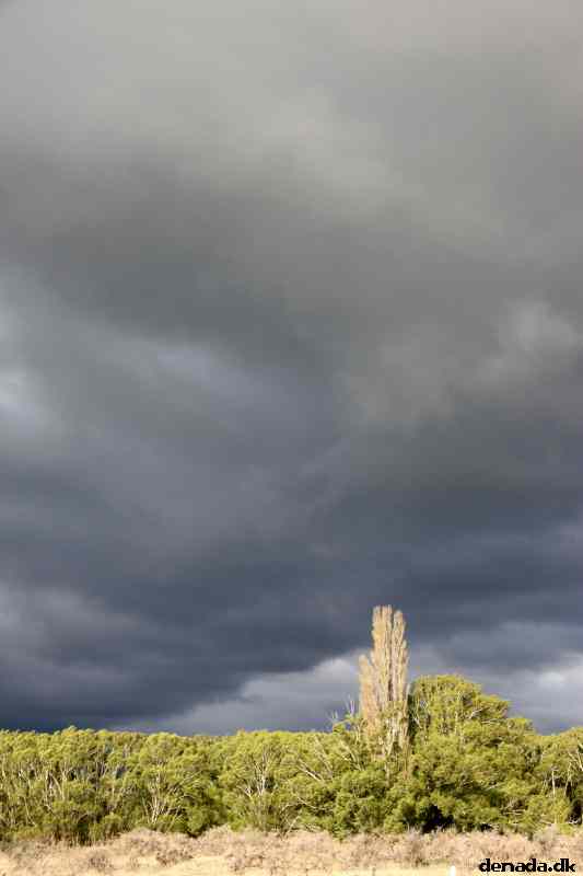 * Image 14