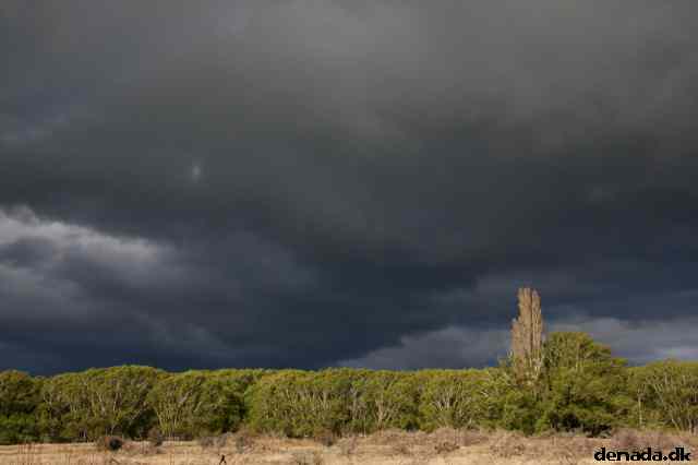 * Image 17