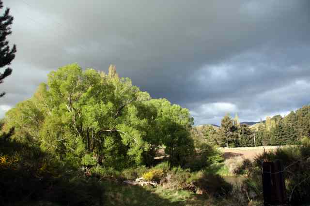 * Image 19