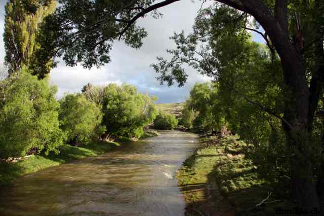 * Image 22