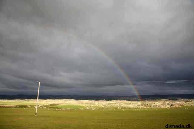 * Image 29