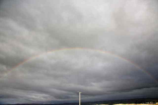 * Image 31
