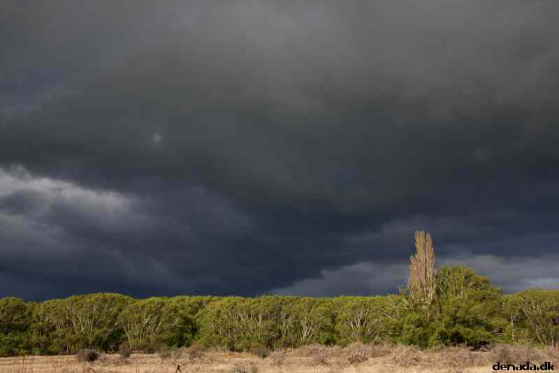 * Image 17